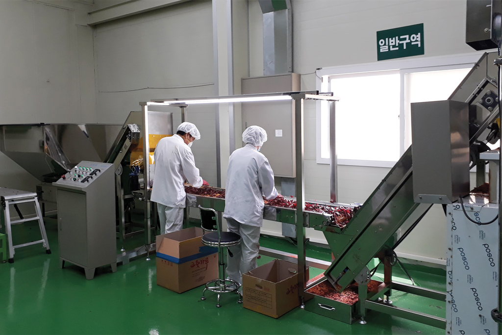 고추이송 컨베이어, 고추가루기계, 고추기계, 고추방앗간기계